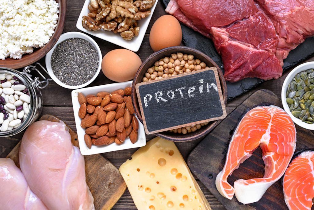 aliments riches en protéines